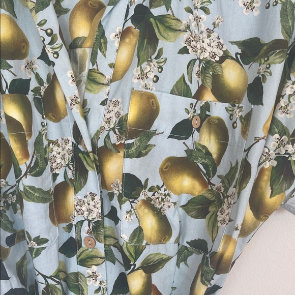 Zara Fruit Print midi Dress with Belt - Picture 2 of 7